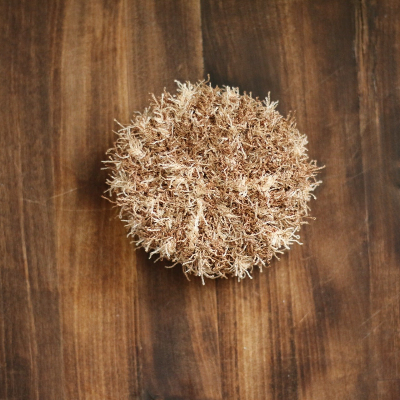 Dish Scrubber