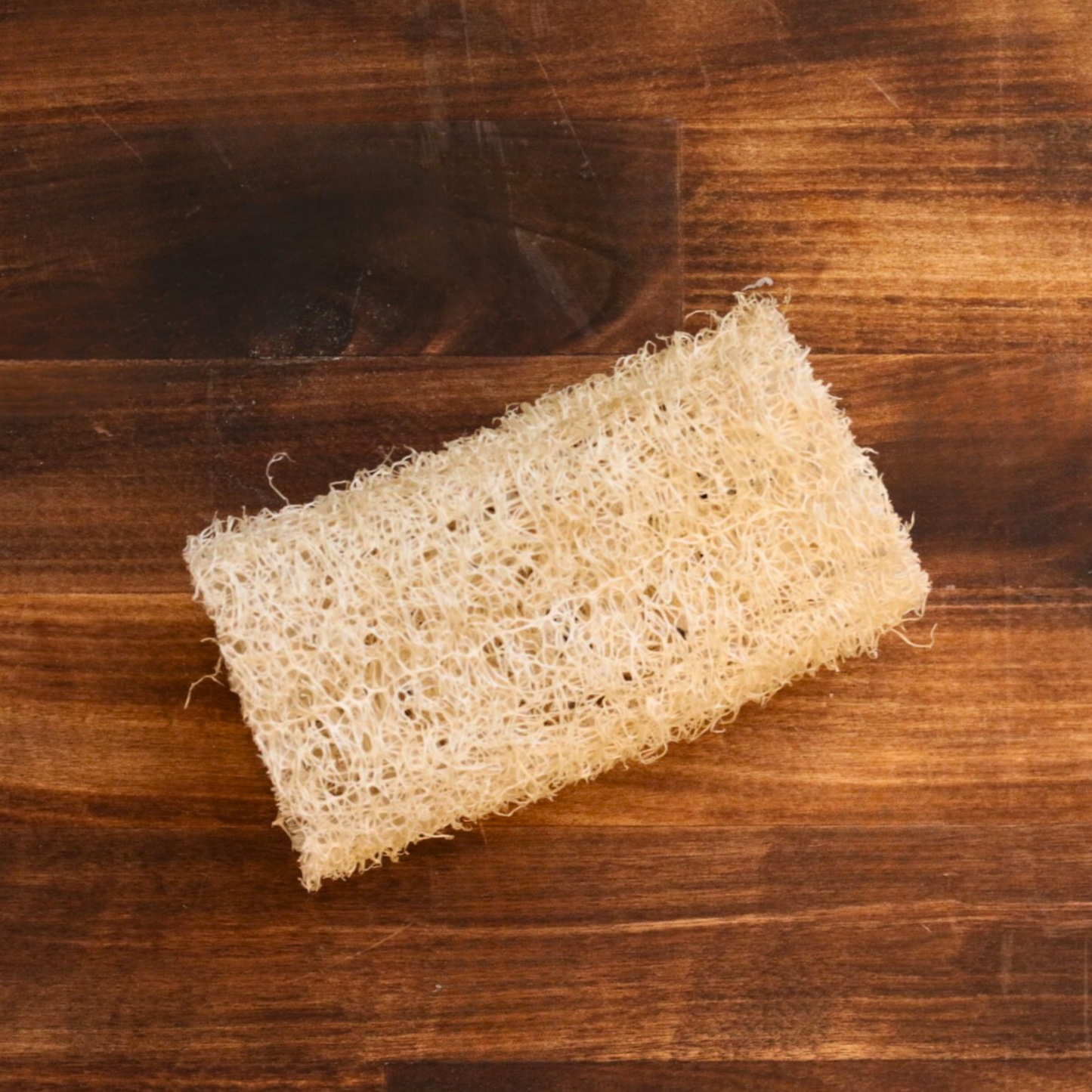 Luffa Sponge